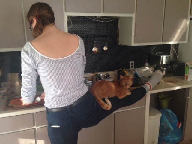 Bildschirmarbeiter - Picdump 27.03.2015