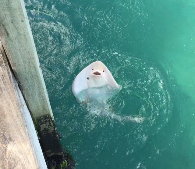 Bildschirmarbeiter - Picdump 27.03.2015