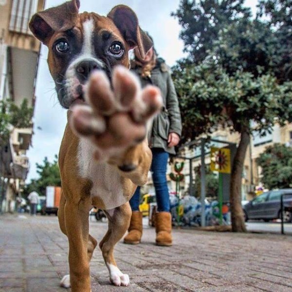 Bildschirmarbeiter - Picdump 27.03.2015