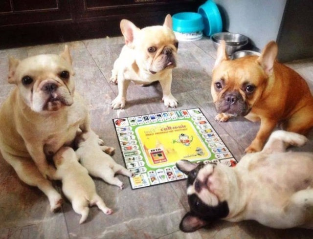 Bildschirmarbeiter - Picdump 27.03.2015