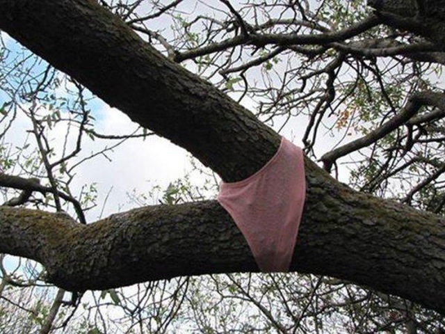 Bildschirmarbeiter - Picdump 27.03.2015