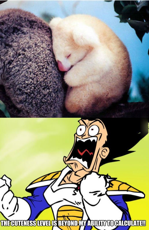 Bildschirmarbeiter - Picdump 27.03.2015