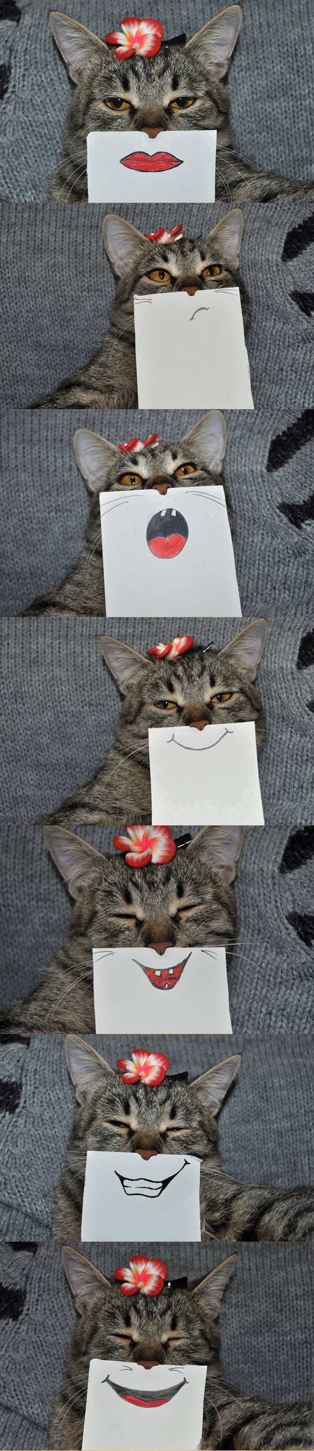 Bildschirmarbeiter - Picdump 27.03.2015