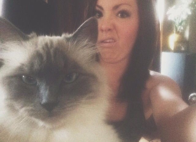 Bildschirmarbeiter - Picdump 03.04.2015