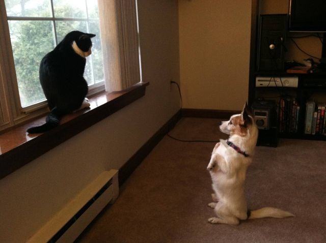 Bildschirmarbeiter - Picdump 03.04.2015