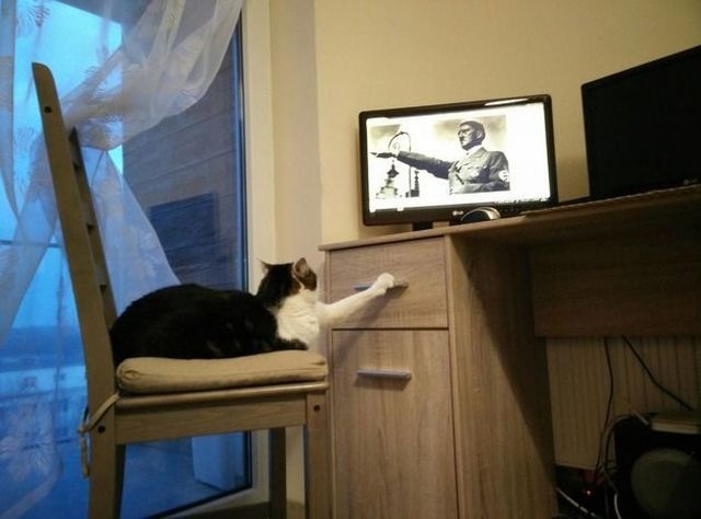 Bildschirmarbeiter - Picdump 03.04.2015