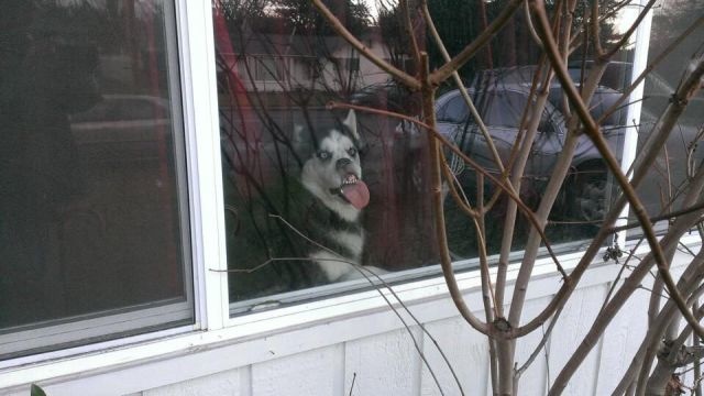 Bildschirmarbeiter - Picdump 03.04.2015