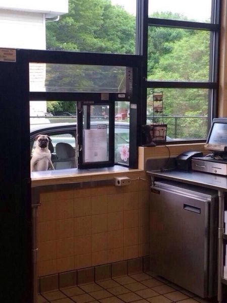 Bildschirmarbeiter - Picdump 03.04.2015