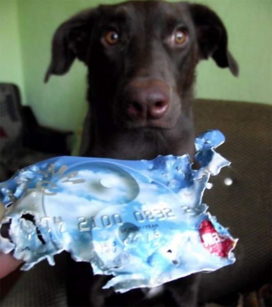 Bildschirmarbeiter - Picdump 03.04.2015