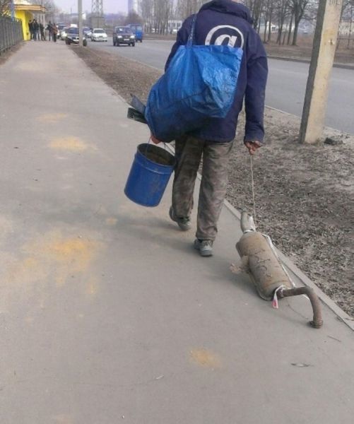 Bildschirmarbeiter - Picdump 03.04.2015