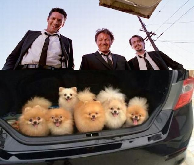 Bildschirmarbeiter - Picdump 03.04.2015