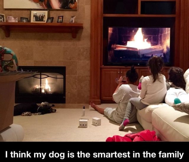 Bildschirmarbeiter - Picdump 03.04.2015