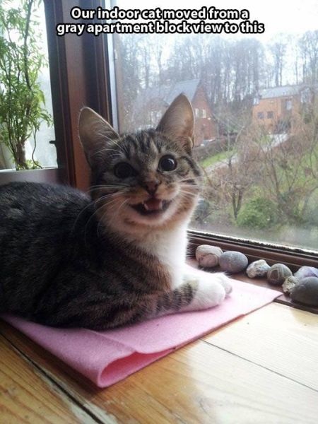 Bildschirmarbeiter - Picdump 03.04.2015