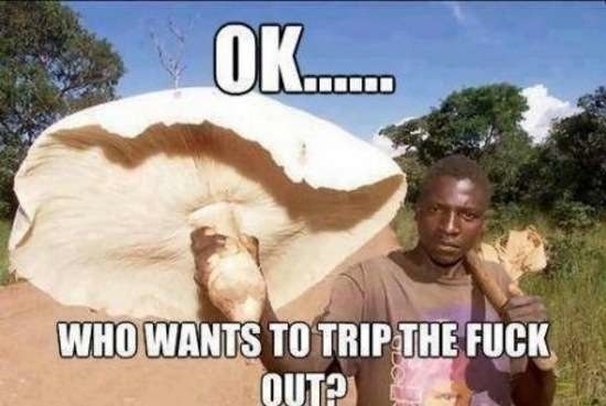 Bildschirmarbeiter - Picdump 03.04.2015