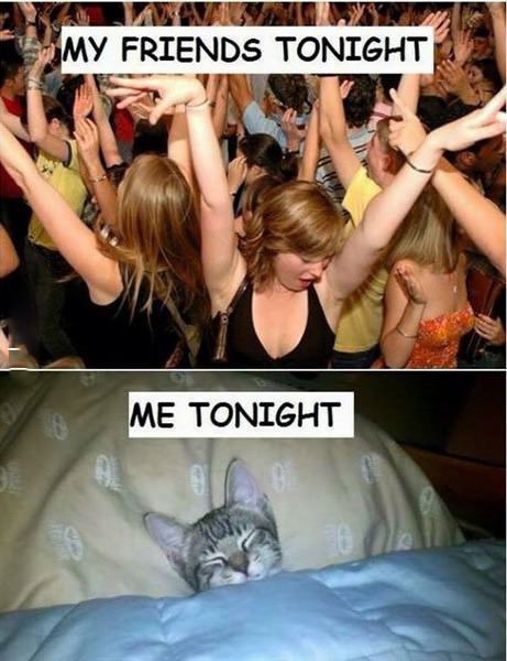 Bildschirmarbeiter - Picdump 03.04.2015