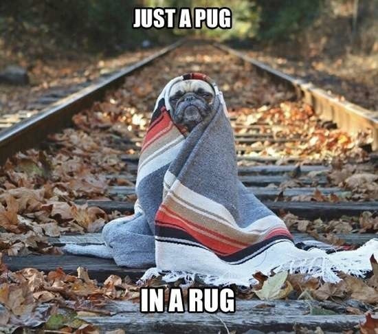 Bildschirmarbeiter - Picdump 03.04.2015