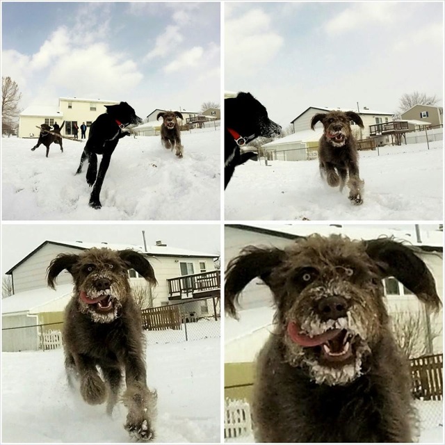 Bildschirmarbeiter - Picdump 03.04.2015