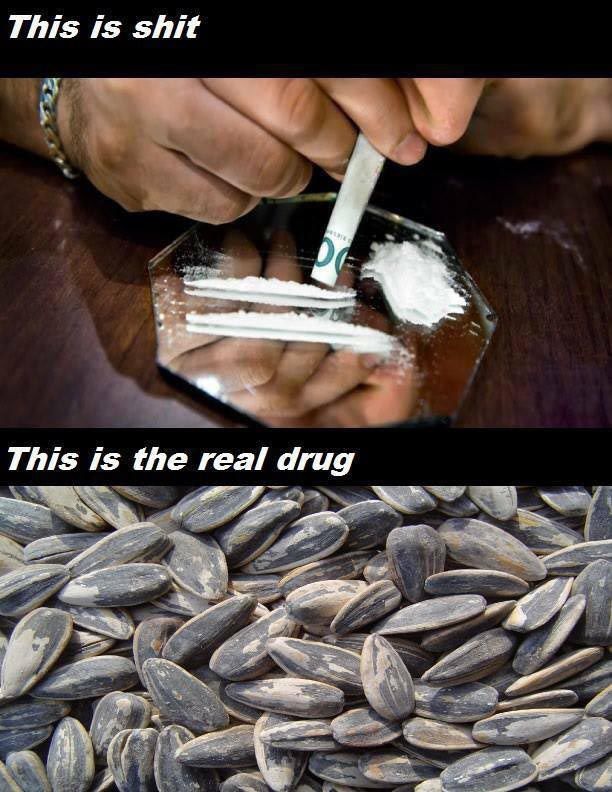 Bildschirmarbeiter - Picdump 03.04.2015