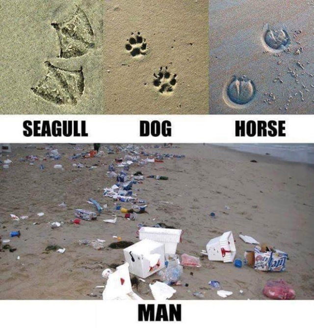 Bildschirmarbeiter - Picdump 03.04.2015