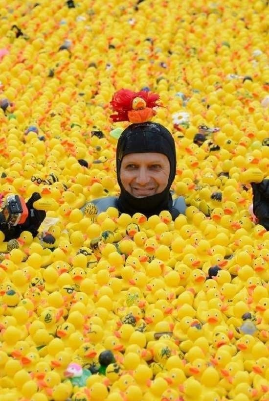 Bildschirmarbeiter - Picdump 03.04.2015