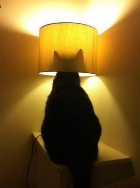 Bildschirmarbeiter - Picdump 10.04.2015