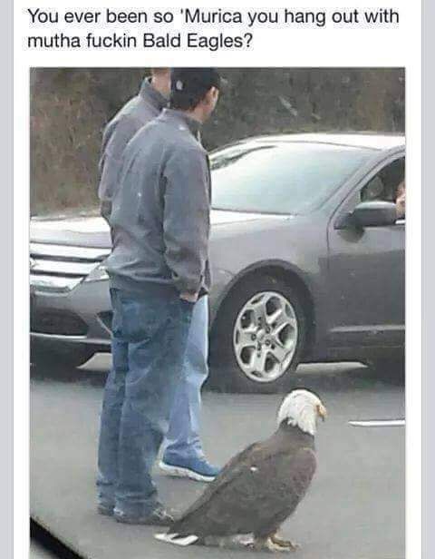 Bildschirmarbeiter - Picdump 10.04.2015