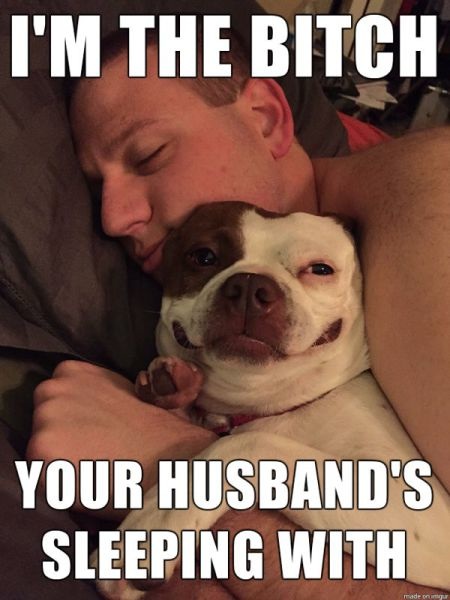 Bildschirmarbeiter - Picdump 10.04.2015