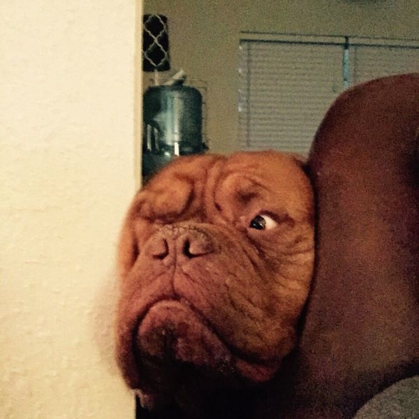 Bildschirmarbeiter - Picdump 10.04.2015