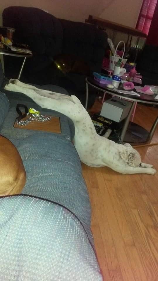 Bildschirmarbeiter - Picdump 10.04.2015