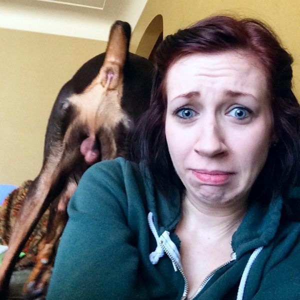 Bildschirmarbeiter - Picdump 10.04.2015