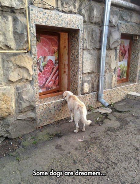 Bildschirmarbeiter - Picdump 10.04.2015