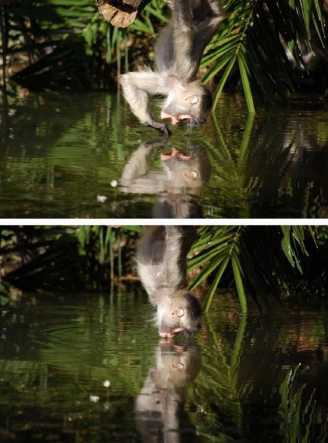 Bildschirmarbeiter - Picdump 10.04.2015