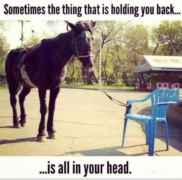 Bildschirmarbeiter - Picdump 10.04.2015