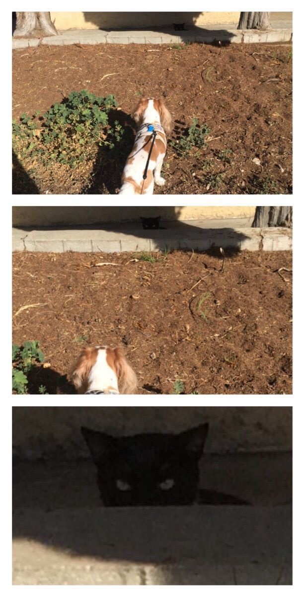 Bildschirmarbeiter - Picdump 10.04.2015