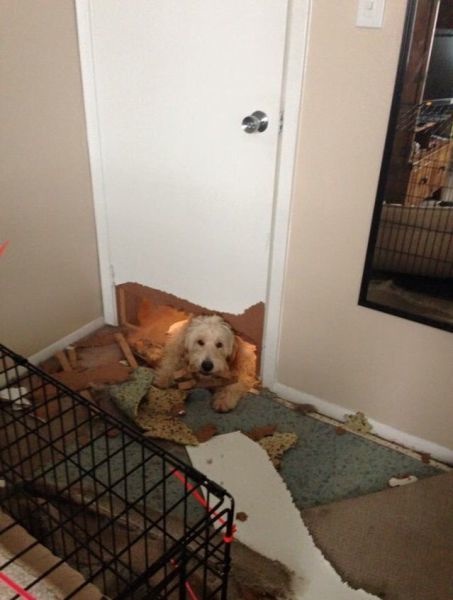 Bildschirmarbeiter - Picdump 17.04.2015