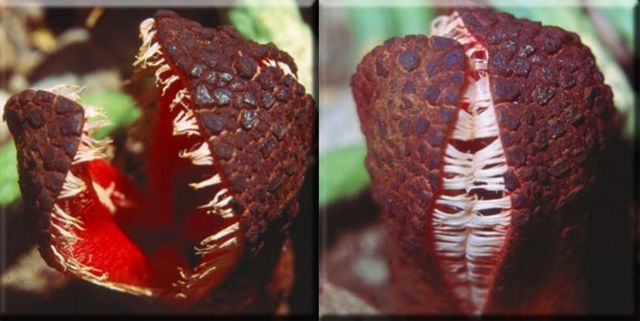 Bildschirmarbeiter - Picdump 17.04.2015