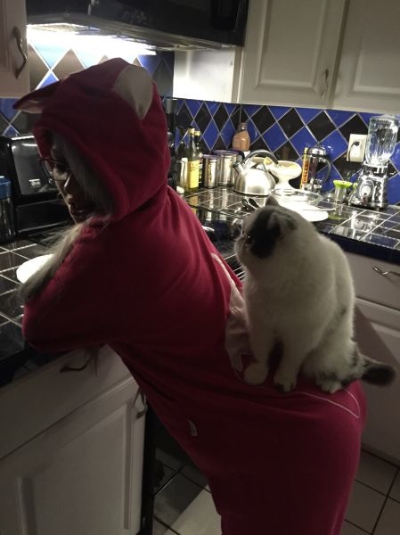 Bildschirmarbeiter - Picdump 17.04.2015