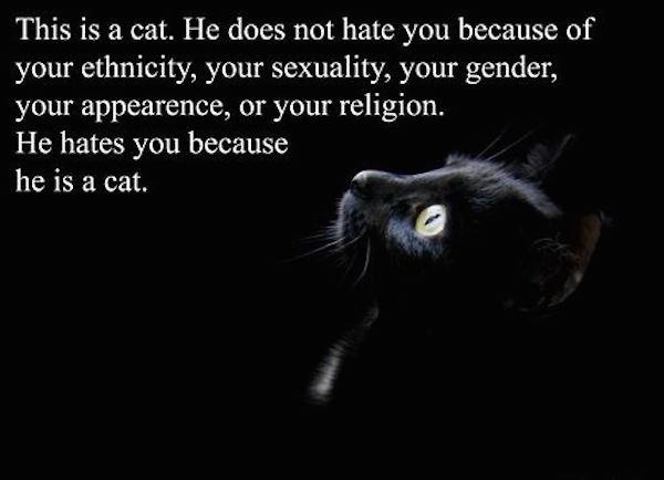 Bildschirmarbeiter - Picdump 17.04.2015