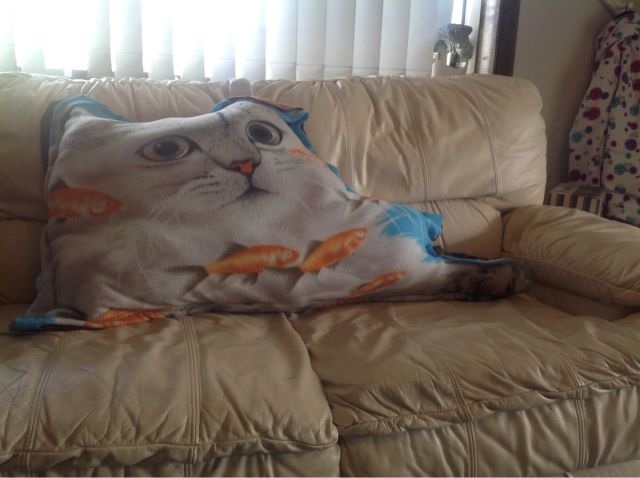 Bildschirmarbeiter - Picdump 17.04.2015