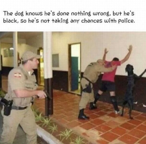 Bildschirmarbeiter - Picdump 17.04.2015