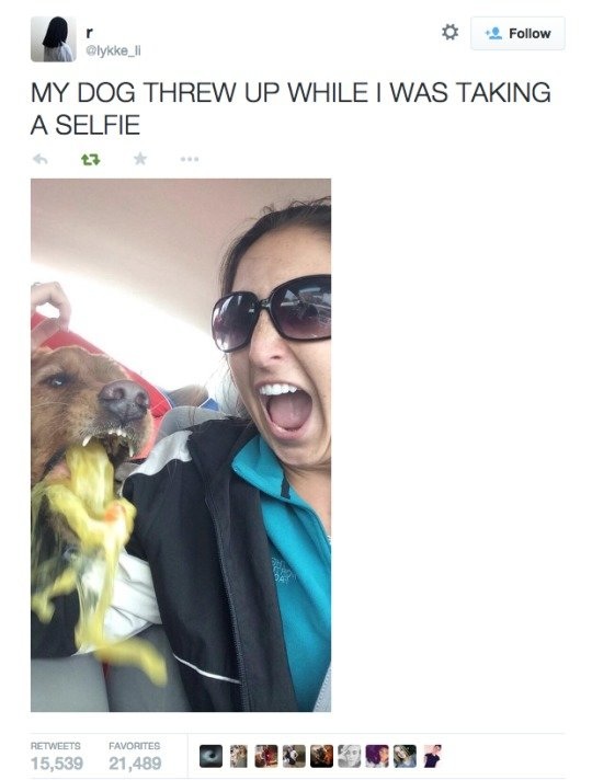 Bildschirmarbeiter - Picdump 17.04.2015