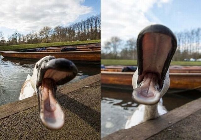 Bildschirmarbeiter - Picdump 17.04.2015