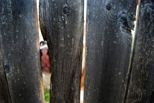 Bildschirmarbeiter - Picdump 17.04.2015