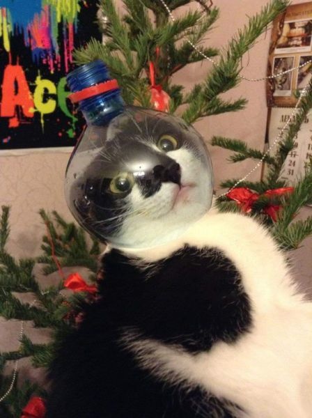 Bildschirmarbeiter - Picdump 17.04.2015