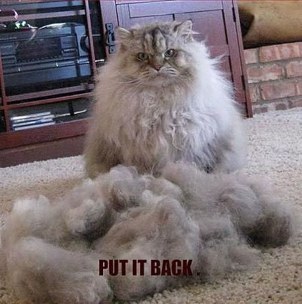 Bildschirmarbeiter - Picdump 17.04.2015