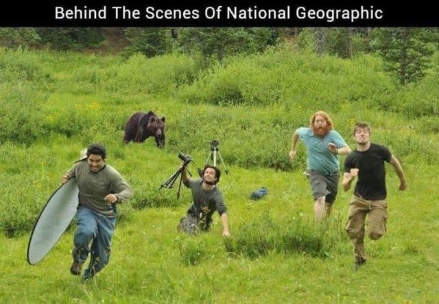 Bildschirmarbeiter - Picdump 17.04.2015