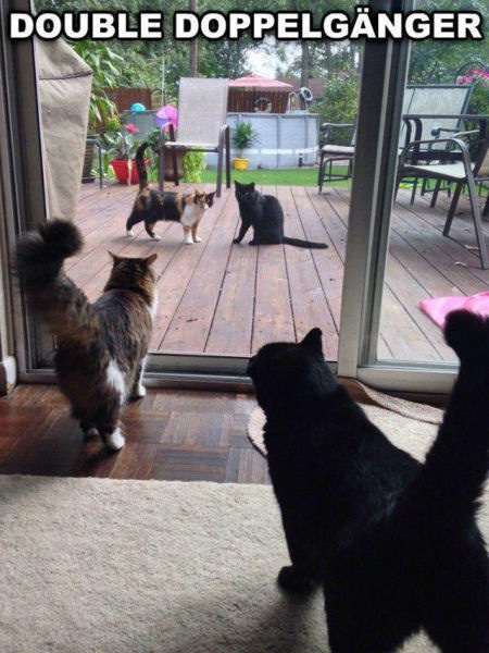 Bildschirmarbeiter - Picdump 17.04.2015