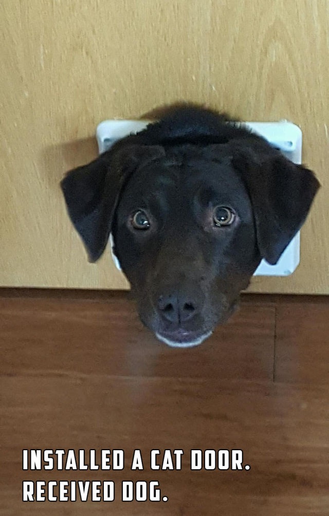 Bildschirmarbeiter - Picdump 17.04.2015