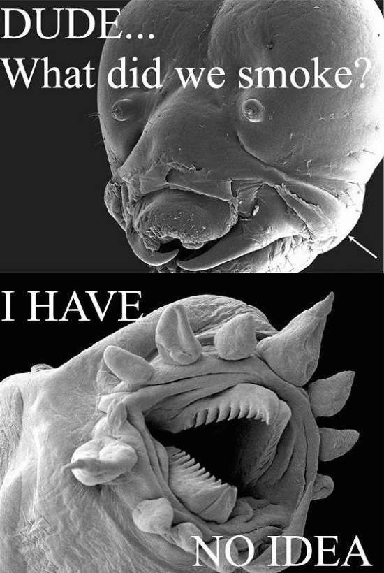 Bildschirmarbeiter - Picdump 17.04.2015