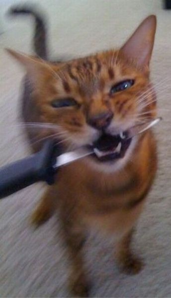 Bildschirmarbeiter - Picdump 24.04.2015